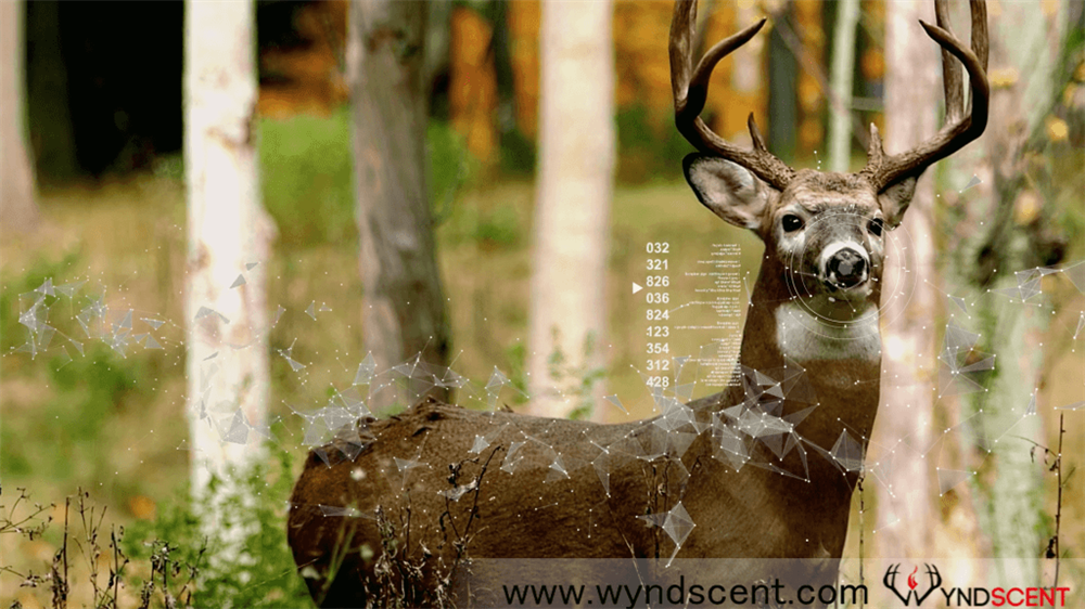 The Power of Vaporized Hunting Scents