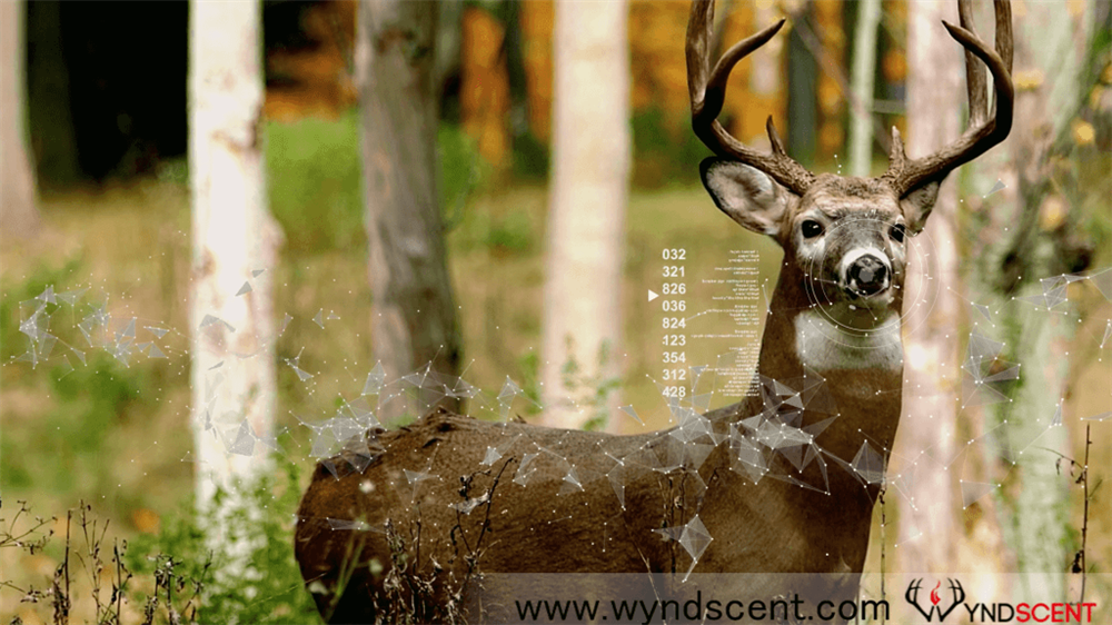 Scent Diffusers Hunting The Power of Vaporized Hunting Scents