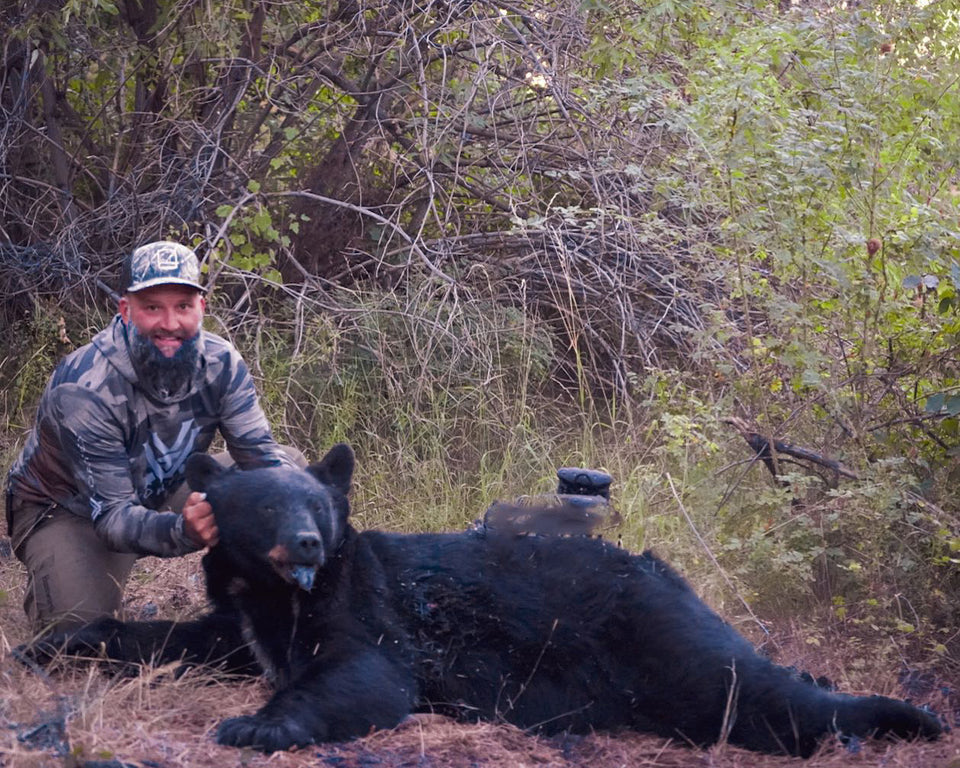 Spot and Stalk Hunting Bears: Potential World Record Sow Taken While Using Wyndscent